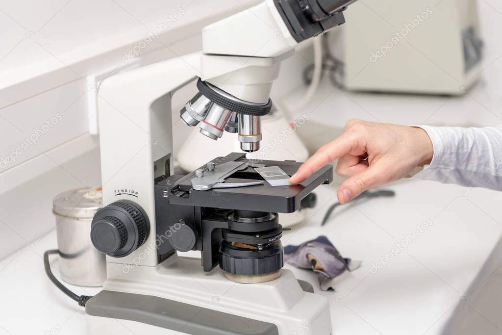 Vet puts a sample under the microscope and examines for pathogen