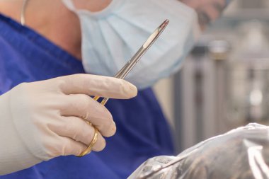 Operasyon öncesi neşter ile veteriner. Bir kadın w Close-Up