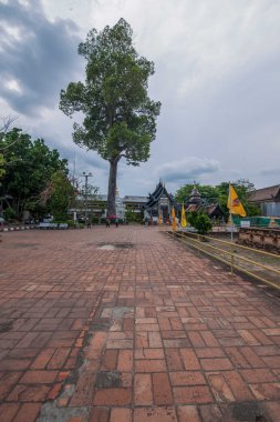 WAT Chedi Luang, Antik şehir Chiang Mai, Tayland