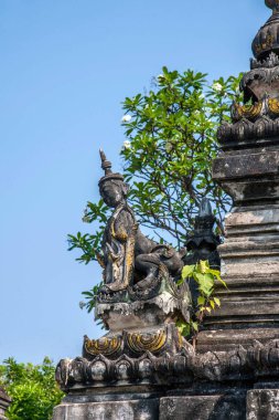Tayland'ın ünlü tapınağı - Pa Tapınağı