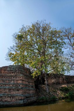 Antik surların Chiang Mai, Tayland