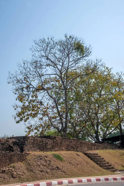 தாய்லாந்தின் சியாங் மாயின் பண்டைய நகர சுவர் — ஸ்டாக் புகைப்படம்