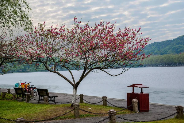 China Hangzhou West Lake — Stock Photo, Image