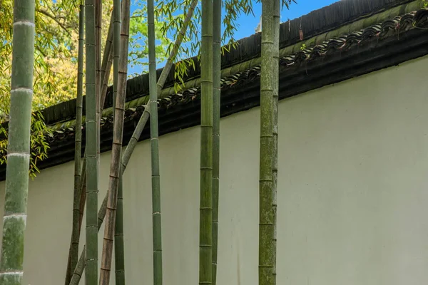 Templo de Hangzhou Lingyin de bambu — Fotografia de Stock