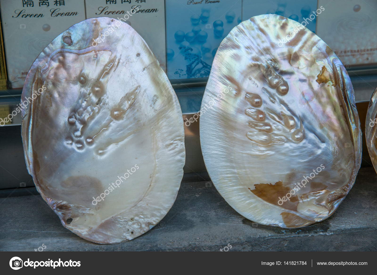 Oyster pearl shellfish — Stock Photo © jingaiping 141821784