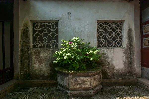 Ville de Wujiang Tongli Ancienne Ville Retraite Jardin Architecture — Photo