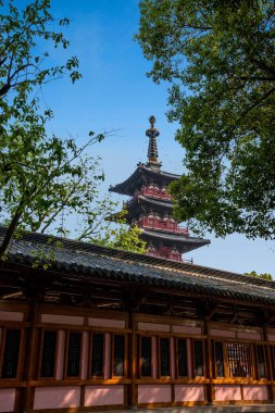 Suzhou Hanshan Tapınağı orman taş Tablet