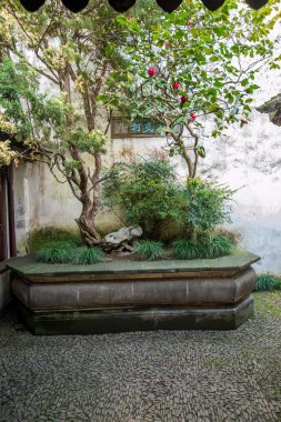 Suzhou klasik Bahçe Bahçe