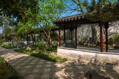 Suzhou klasik Bahçe Bahçe