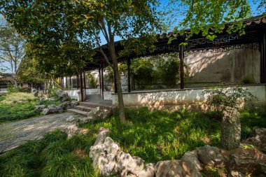 Suzhou klasik Bahçe Bahçe