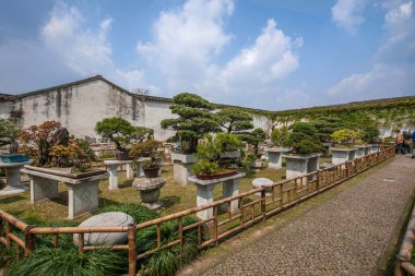 Suzhou klasik Bahçe Bahçe