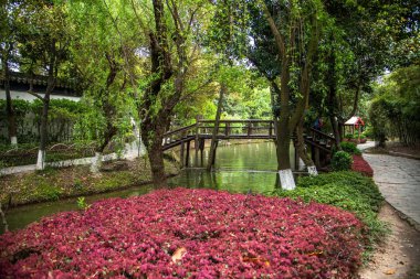 Suzhou Dingyuan Bahçe köprü su pavilion