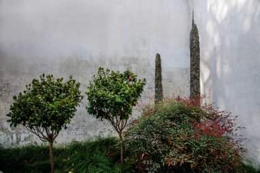 Suzhou Dugang Bahçe köşesinde sanatı