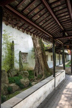 Suzhou Dugang Bahçe köşesinde sanatı