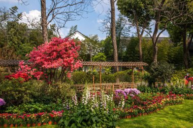 Suzhou Diaoyuan Bahçe