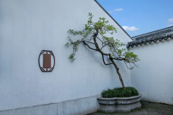 De kunst van hoek van Suzhou Dugang tuin — Stockfoto