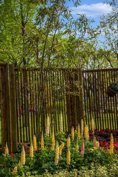 Suzhou grävde trädgård trädgård Rubin blommor — Stockfoto