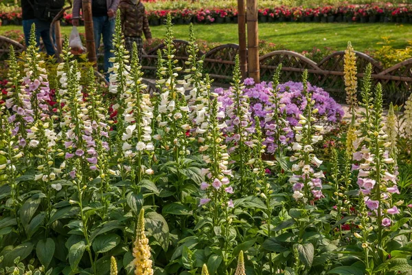 Suzhou gegraven tuin tuin bloemen — Stockfoto