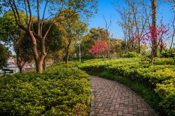 Wuxi lingshan großer Buddha landschaftlich reizvoller Garten — Stockfoto