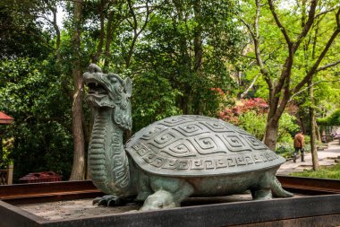 Wuxi Taihu Yuantouzhu kaplumbağa