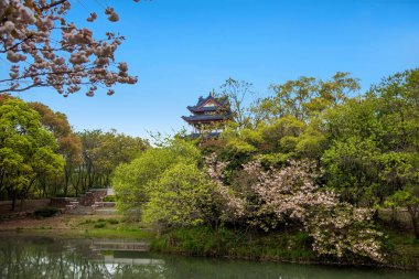 Wuxi Taihu Yuantouzhu Park kiraz Bahçe su pavilion