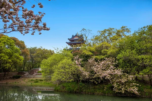 Wuxi Taihu Yuantouzhu Park pabellón de agua de jardín de cereza —  Fotos de Stock