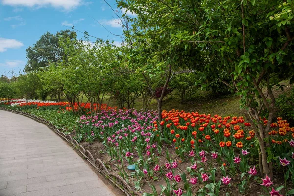 扬州市纤细西部湖花园 — 图库照片