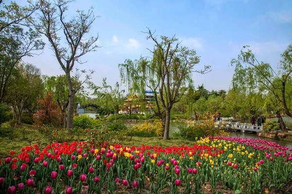 Yangzhou ince Batı Gölü Bahçe — Stok fotoğraf