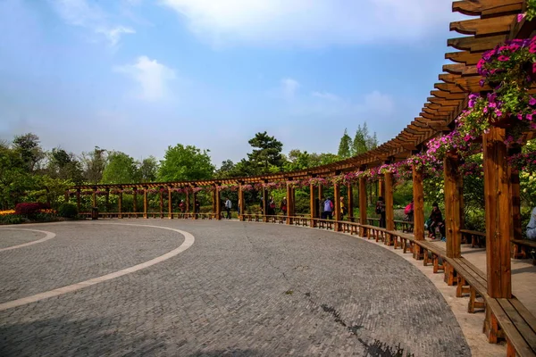 Yangzhou slanka West Lake Garden Flower Gallery — Stockfoto