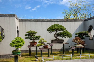 Bonsai Bahçe göndermek için Yangzhou ince West Lake