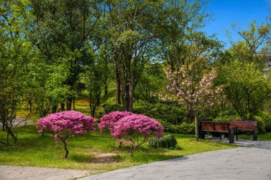 Yangzhou ince Batı Gölü Bahçe mimarisi