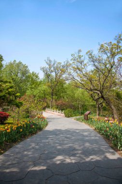 Yangzhou ince Batı Gölü Bahçe yollar