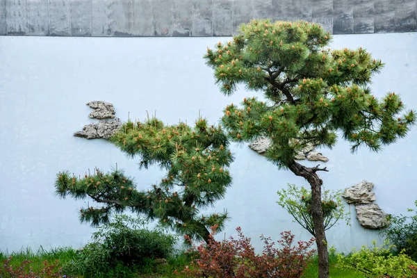 Yangzhou schlanken westlichen See zu senden Bonsai-Garten — Stockfoto