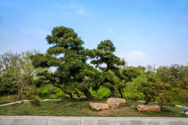 扬州的瘦西湖，派盆景园 — 图库照片