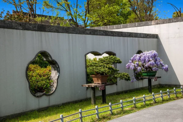 Yangzhou schlanken westlichen See zu senden Bonsai-Garten — Stockfoto