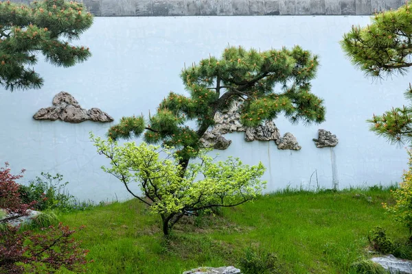 Yangzhou lac mince ouest pour envoyer jardin bonsaï — Photo