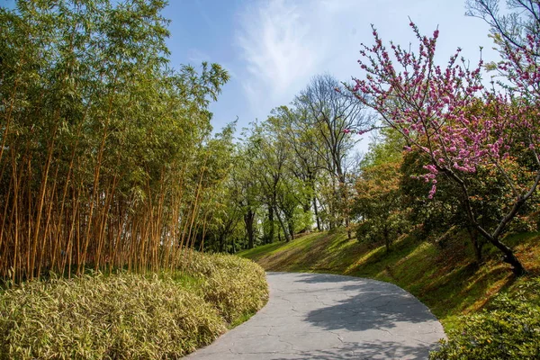 Yangzhou delgado oeste lago jardín de senderos —  Fotos de Stock