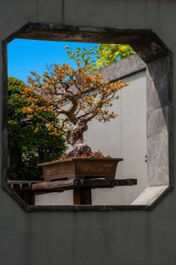 Bonsai Bahçe göndermek için Yangzhou ince West Lake