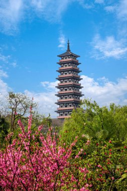 Yangzhou ince West Lake şeftali Grove