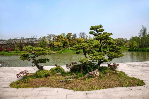 Yangzhou Slender West Lake verzenden bonsai tuin — Stockfoto