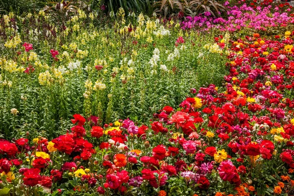 揚州の細い西部湖の庭のチューリップの花の景観設計 — ストック写真