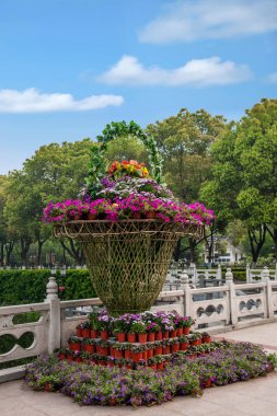 Guanyin Meydanı çiçek mavi