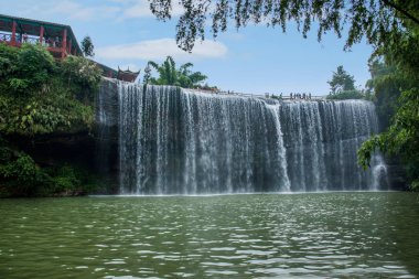Bambu orman bambu Deniz Manzaralı noktada şelale