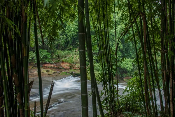 Vattenfall i bambuskogen i bambu havet natursköna plats i — Stockfoto