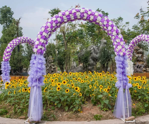 Chongqing Bananhua květiny v zahradě světa v svatební květinové oblouky — Stock fotografie