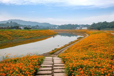 Chongqing Bananhua ahşap dünya Bahçe çiçek tam Bloom