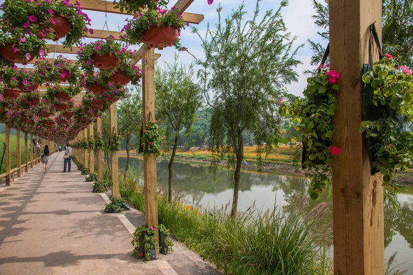 Chongqing Bananhua bloemen in de tuin van de wereld in de galerie met bloem — Stockfoto