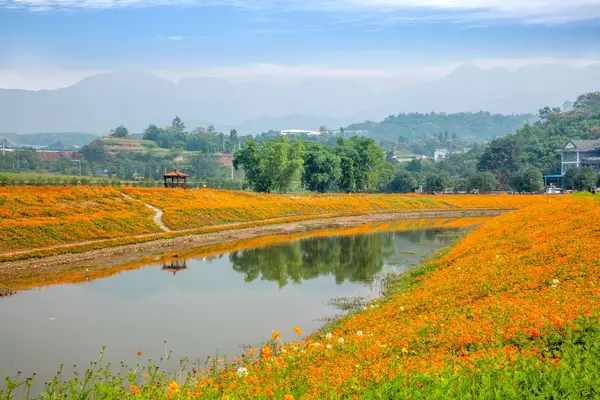 Chongqing Bananhua hout wereld tuin bloemen in volle bloei — Stockfoto