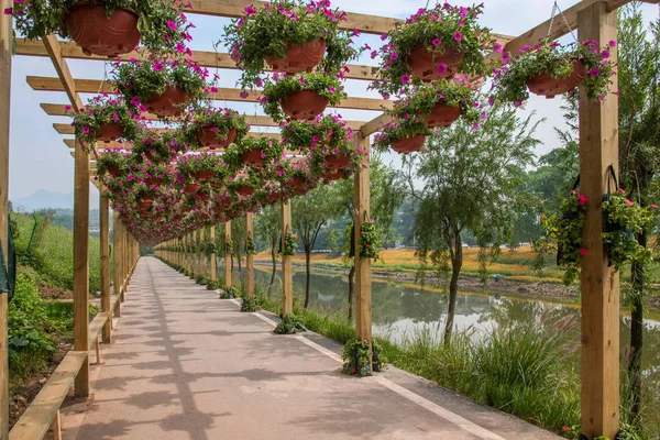 Chongqing Bananhua flores en el jardín del mundo en la galería de flores — Foto de Stock