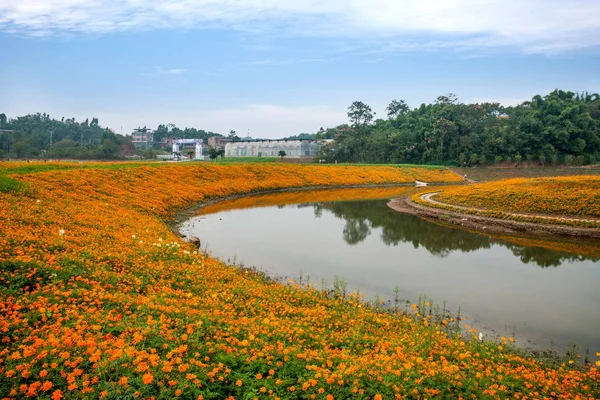 重慶 Bananhua 木材世界満開の庭の花 — ストック写真